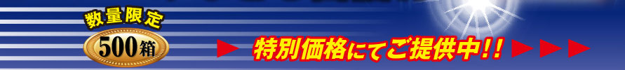 数量限定/期間限定　特別価格にてご提供中！！